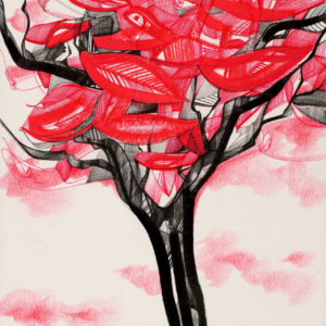 Luka Brase red symphony 32x24cm