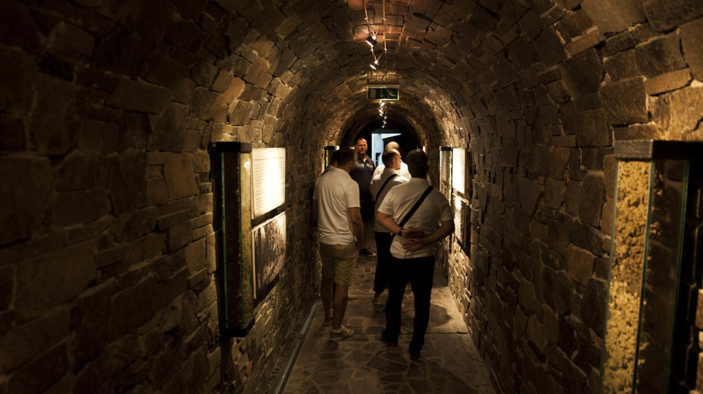 vinna cesta Wine Expert mrva a stanko