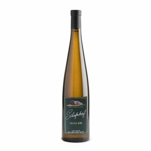 Schieferkopf Riesling Lieu-dit Berg