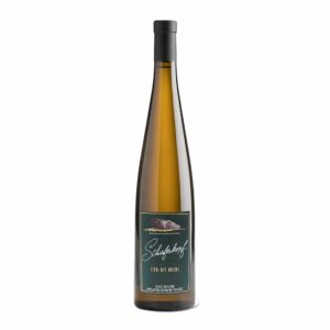 Schieferkopf Riesling Lieu-dit Buehl
