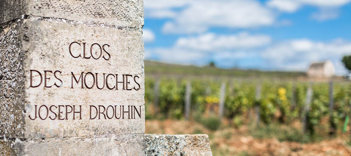 Joseph Drouhin vinarstvo