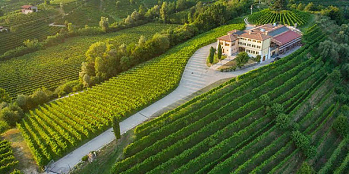 Masi Agricola talianske vinarstvo