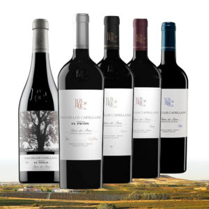 Balíček vín Pago de los Capellanes
