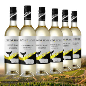 divine hope chenin blanc 6 vin