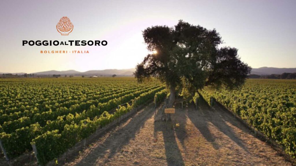 poggio al tesoro bolgheri uvodna