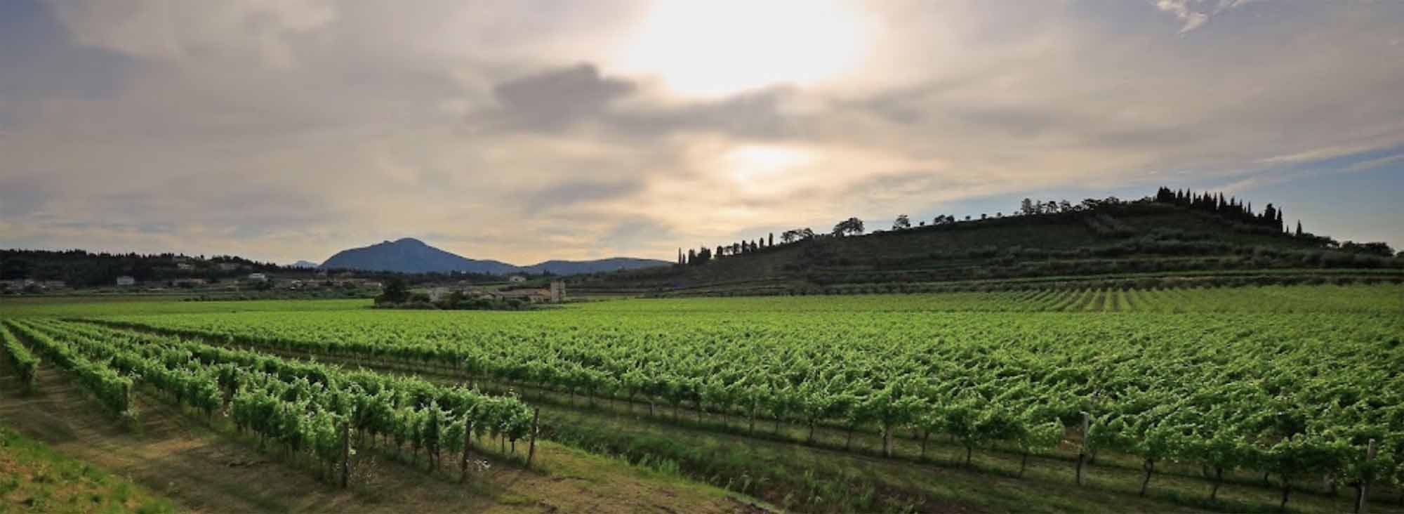 corte giara winery