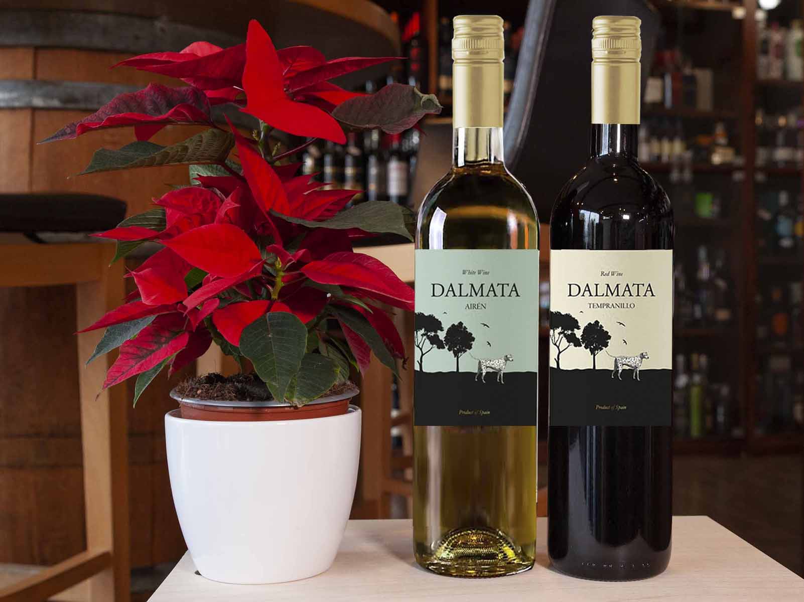 Dalamata vino vinoteka