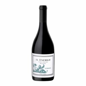 El Enemigo Bonarda Single Vineyard la esperanza