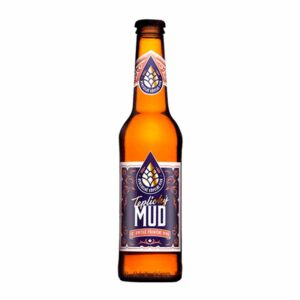 Teplické pivo Mud