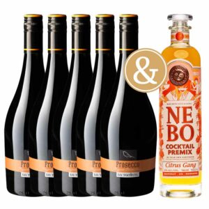 Set NEBO Cocktail Premix Citrus Gang a 5x Prosecco Frizzante DOC