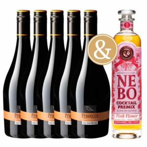 Set NEBO Cocktail Premix Pink Flower a 5x Prosecco Frizzante DOC