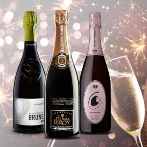 Bublinky sampnske prosecco sekt