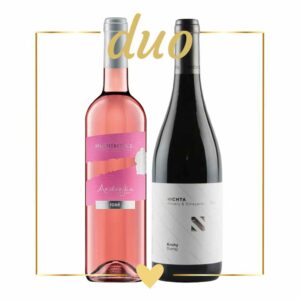 duo valentin nichta pd mojmirovce