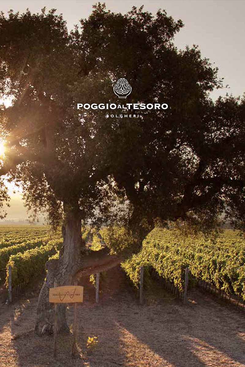 Poggio Al Tesoro Tuscany