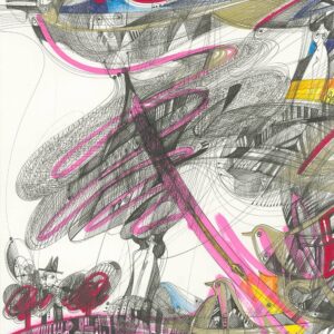 dragonfly_iguazzu_30x20cm_2023